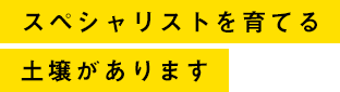 スペシャリストを育てる土壌があります